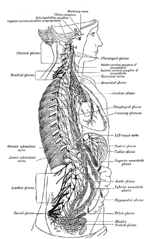 Иллюстрация к книге — Взламывая психиатрию [i_081.jpg]