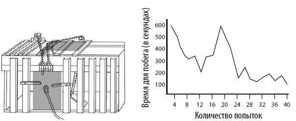 Иллюстрация к книге — Взламывая психиатрию [i_088.jpg]