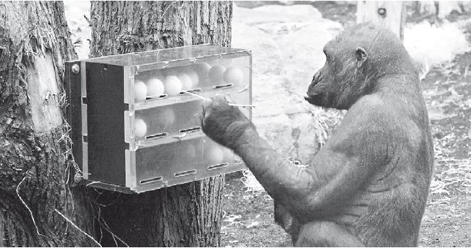 Иллюстрация к книге — Взламывая психиатрию [i_099.jpg]