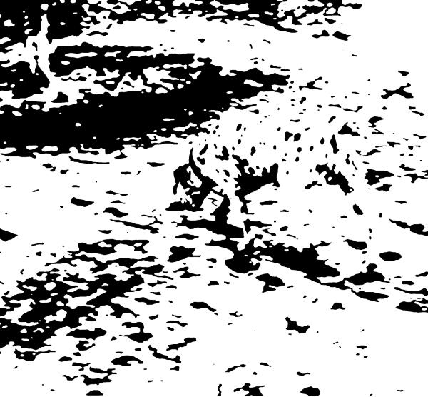 Иллюстрация к книге — Взламывая психиатрию [i_100.jpg]