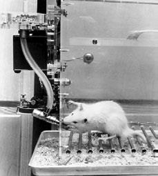 Иллюстрация к книге — Взламывая психиатрию [i_109.jpg]