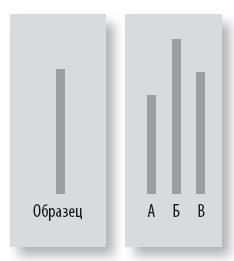 Иллюстрация к книге — Взламывая психиатрию [i_134.jpg]