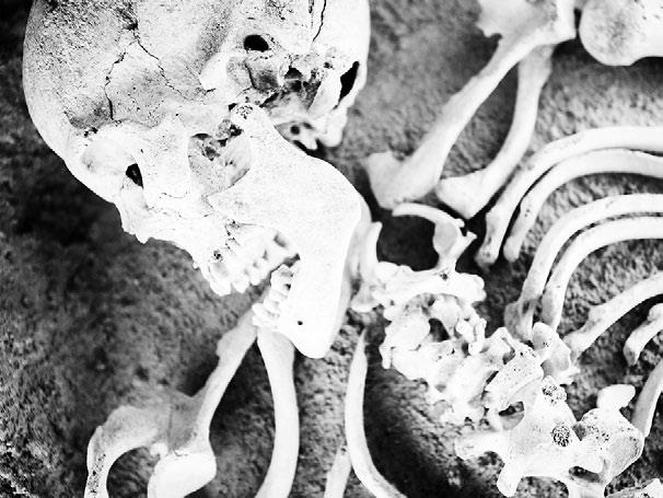 Иллюстрация к книге — Взламывая психиатрию [i_154.jpg]