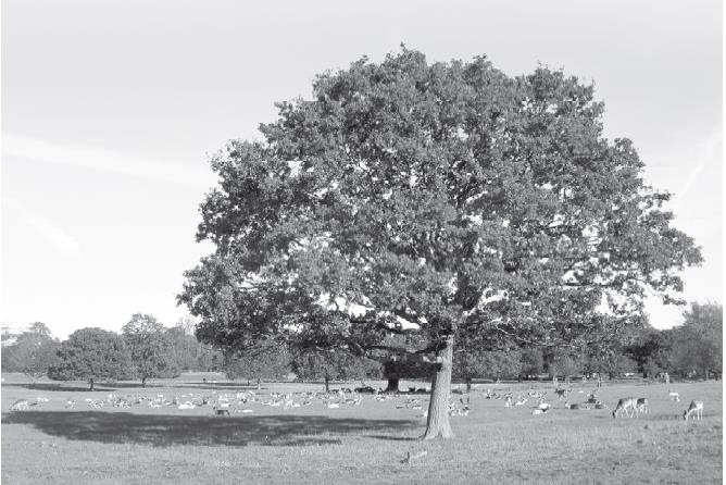 Иллюстрация к книге — Взламывая психиатрию [i_185.jpg]