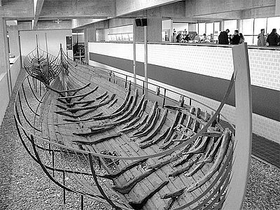 Иллюстрация к книге — История викингов. Дети Ясеня и Вяза [i_016.jpg]