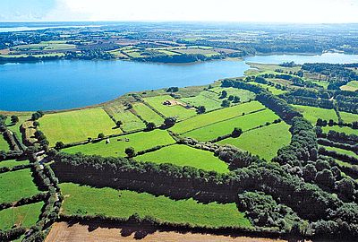 Иллюстрация к книге — История викингов. Дети Ясеня и Вяза [i_041.jpg]