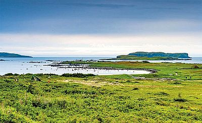 Иллюстрация к книге — История викингов. Дети Ясеня и Вяза [i_048.jpg]