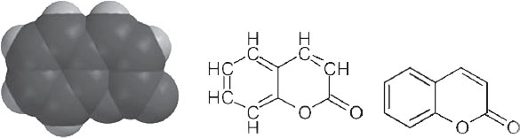 Иллюстрация к книге — Секрет аромата. От молекулы до духов. Как запах становится произведением искусства [i_004.jpg]