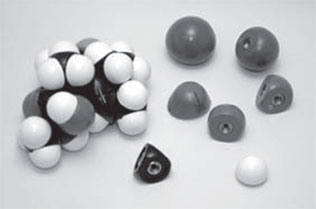 Иллюстрация к книге — Секрет аромата. От молекулы до духов. Как запах становится произведением искусства [i_005.jpg]