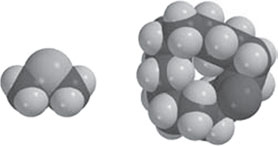 Иллюстрация к книге — Секрет аромата. От молекулы до духов. Как запах становится произведением искусства [i_007.jpg]