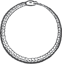 Иллюстрация к книге — Секрет аромата. От молекулы до духов. Как запах становится произведением искусства [i_027.jpg]