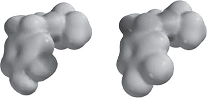 Иллюстрация к книге — Секрет аромата. От молекулы до духов. Как запах становится произведением искусства [i_046.jpg]