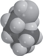 Иллюстрация к книге — Секрет аромата. От молекулы до духов. Как запах становится произведением искусства [i_051.jpg]