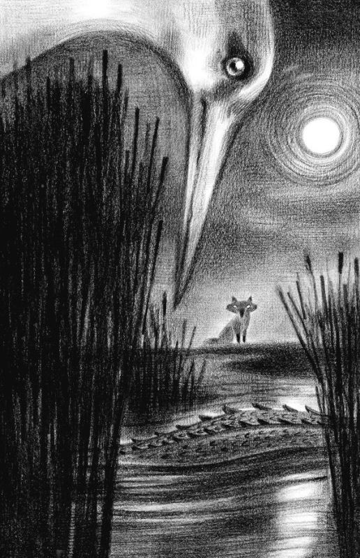 Иллюстрация к книге — Страшные истории для маленьких лисят [i_009.jpg]