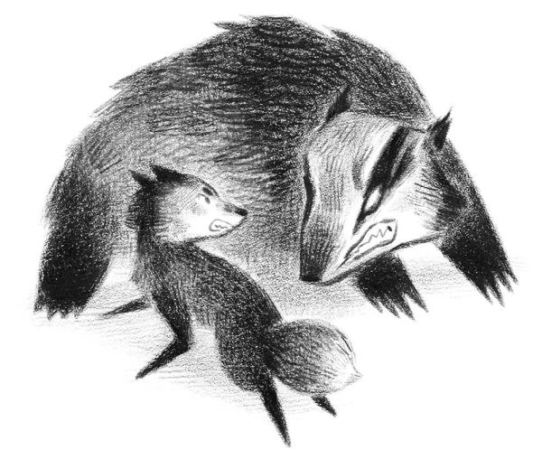 Иллюстрация к книге — Страшные истории для маленьких лисят [i_012.jpg]