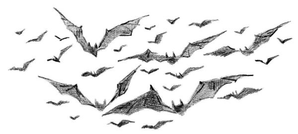 Иллюстрация к книге — Страшные истории для маленьких лисят [i_014.jpg]