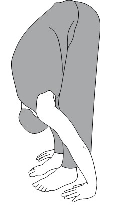 Иллюстрация к книге — Активное долголетие. Упражнения для крепкого здоровья, бодрости, иммунитета [i_001.jpg]