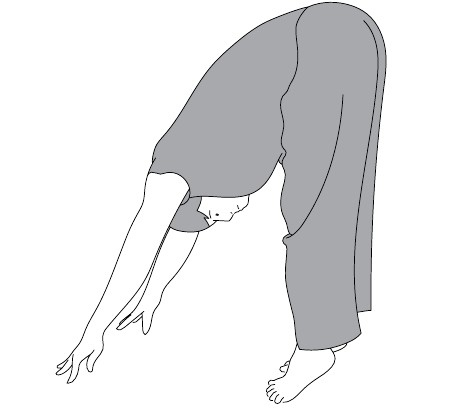 Иллюстрация к книге — Активное долголетие. Упражнения для крепкого здоровья, бодрости, иммунитета [i_002.jpg]