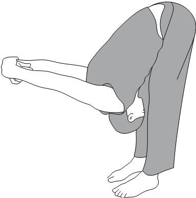 Иллюстрация к книге — Активное долголетие. Упражнения для крепкого здоровья, бодрости, иммунитета [i_004.jpg]