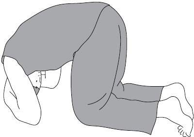 Иллюстрация к книге — Активное долголетие. Упражнения для крепкого здоровья, бодрости, иммунитета [i_007.jpg]