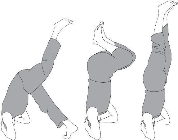 Иллюстрация к книге — Активное долголетие. Упражнения для крепкого здоровья, бодрости, иммунитета [i_008.jpg]