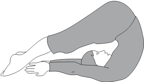 Иллюстрация к книге — Активное долголетие. Упражнения для крепкого здоровья, бодрости, иммунитета [i_012.jpg]