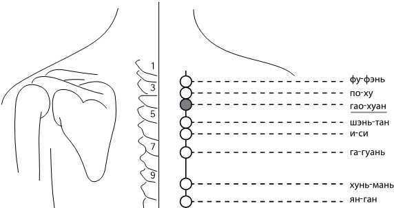 Иллюстрация к книге — Активное долголетие. Упражнения для крепкого здоровья, бодрости, иммунитета [i_016.jpg]