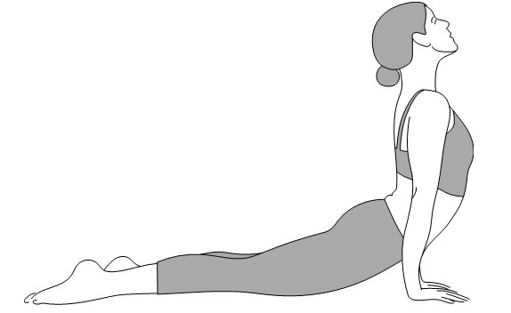 Иллюстрация к книге — Активное долголетие. Упражнения для крепкого здоровья, бодрости, иммунитета [i_022.jpg]