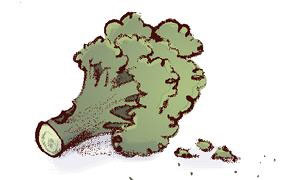 Иллюстрация к книге — Ошибка Угрюма [i_016.jpg]