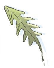 Иллюстрация к книге — Ошибка Угрюма [i_046.jpg]