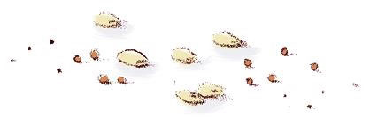 Иллюстрация к книге — Ошибка Угрюма [i_053.jpg]