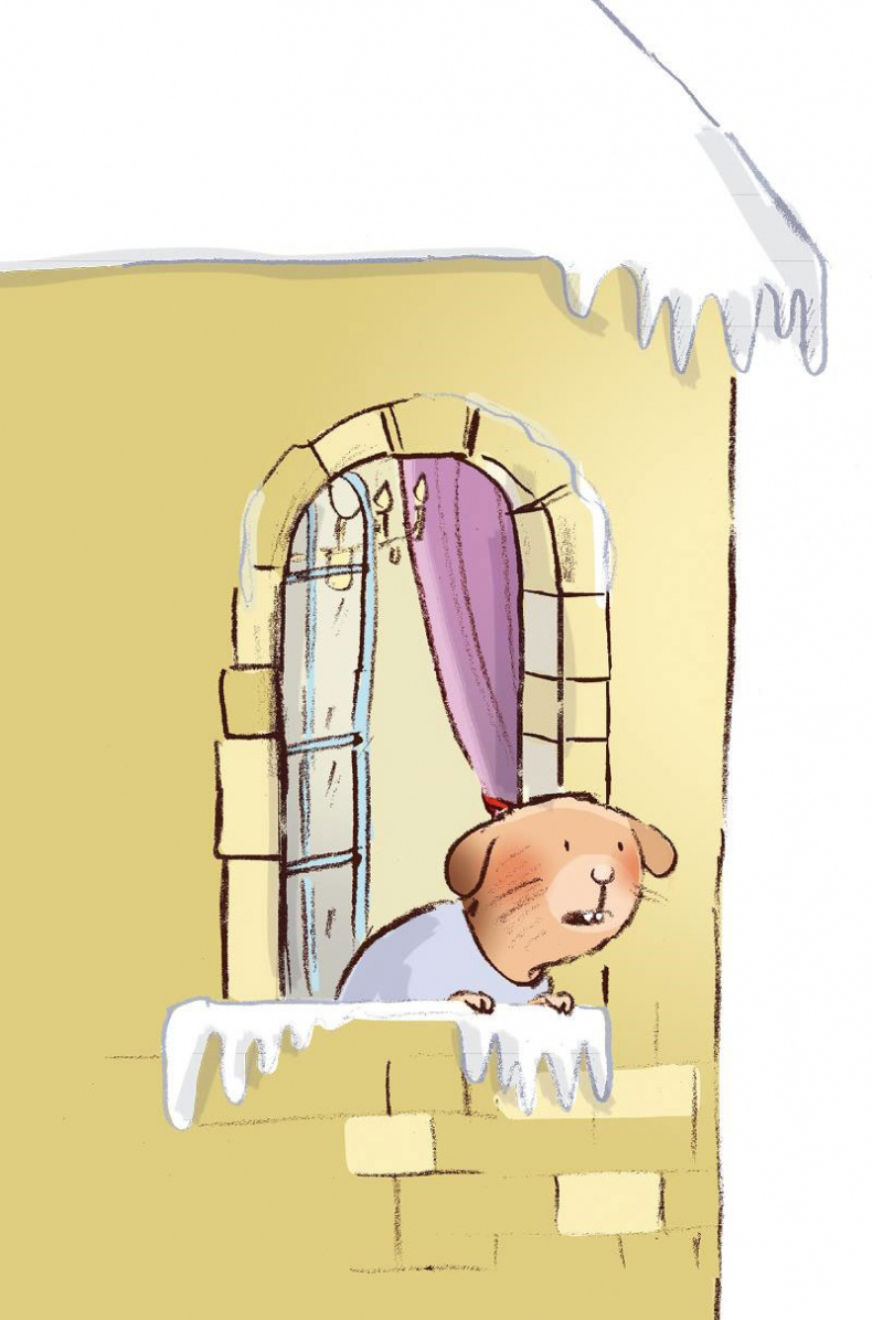 Иллюстрация к книге — Тайна ушастого воришки [i_016.jpg]