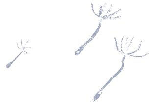 Иллюстрация к книге — Тайна ушастого воришки [i_041.jpg]