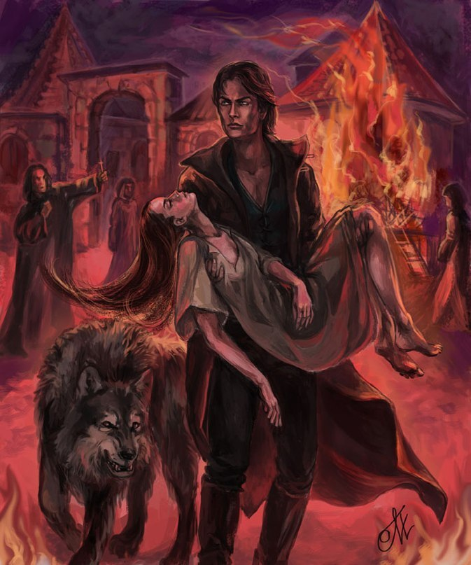 Иллюстрация к книге — Зверь в отражении. Трилогия в одном томе [img_9.jpg]