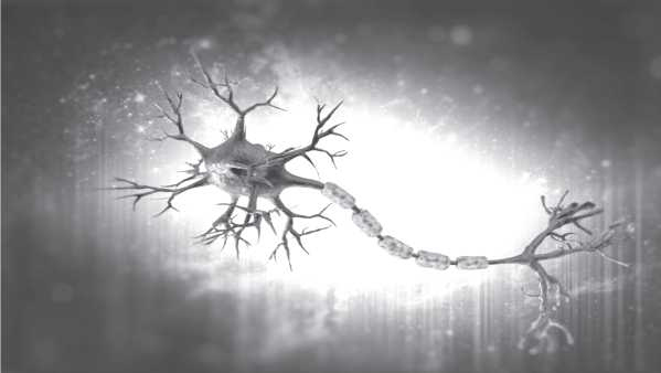 Иллюстрация к книге — Обмани свой мозг. Обсессивно-компульсивное расстройство [i_002.jpg]