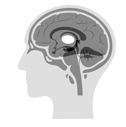 Иллюстрация к книге — Мозг и разум в эпоху виртуальной реальности [i_010.jpg]