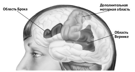 Иллюстрация к книге — Мозг и разум в эпоху виртуальной реальности [i_012.jpg]