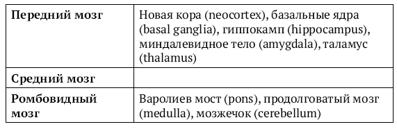 Иллюстрация к книге — Мозг и разум в эпоху виртуальной реальности [i_017.jpg]