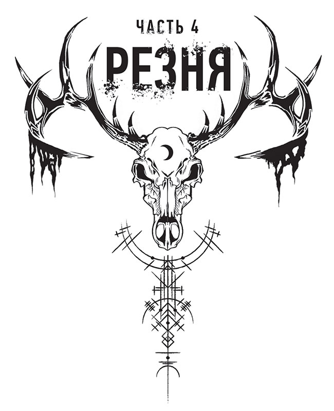 Иллюстрация к книге — Год ведьмовства [i_004.jpg]