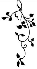 Иллюстрация к книге — Ярость воды [i_001.jpg]