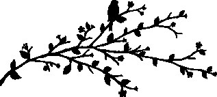 Иллюстрация к книге — Песня вечных дождей [i_006.jpg]