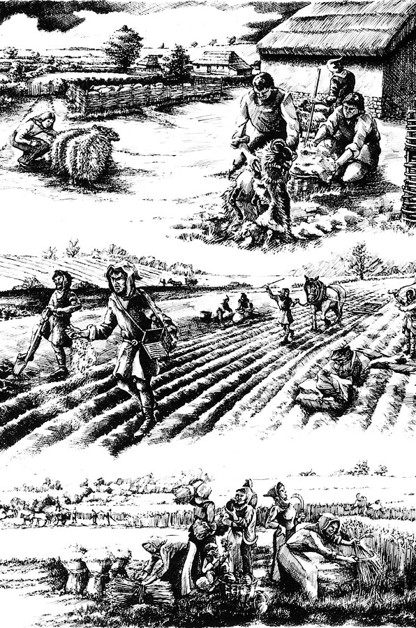 Иллюстрация к книге — Малый ледниковый период. Как климат изменил историю, 1300–1850 [i_009.jpg]