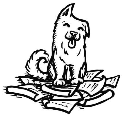 Иллюстрация к книге — О чем пьют ветеринары. Нескучные рассказы о людях, животных и сложной профессии [i_001.jpg]