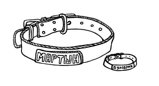 Иллюстрация к книге — О чем пьют ветеринары. Нескучные рассказы о людях, животных и сложной профессии [i_015.jpg]