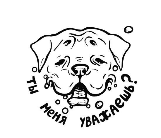 Иллюстрация к книге — О чем пьют ветеринары. Нескучные рассказы о людях, животных и сложной профессии [i_020.jpg]