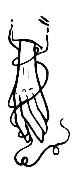 Иллюстрация к книге — О чем пьют ветеринары. Нескучные рассказы о людях, животных и сложной профессии [i_036.jpg]