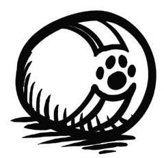 Иллюстрация к книге — О чем пьют ветеринары. Нескучные рассказы о людях, животных и сложной профессии [i_039.jpg]