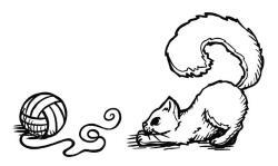 Иллюстрация к книге — О чем пьют ветеринары. Нескучные рассказы о людях, животных и сложной профессии [i_042.jpg]