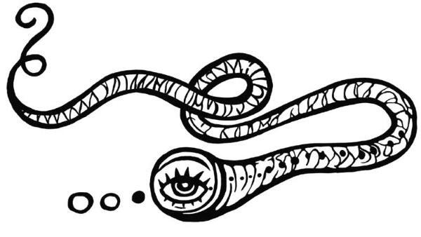 Иллюстрация к книге — О чем пьют ветеринары. Нескучные рассказы о людях, животных и сложной профессии [i_050.jpg]