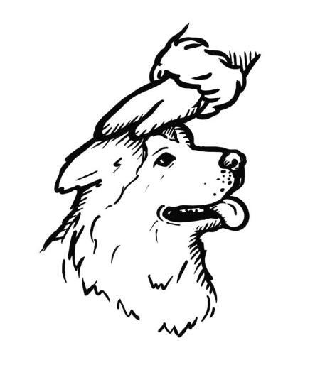 Иллюстрация к книге — О чем пьют ветеринары. Нескучные рассказы о людях, животных и сложной профессии [i_065.jpg]